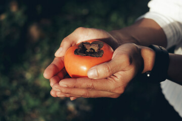 hand holding a colorful orange persimmon