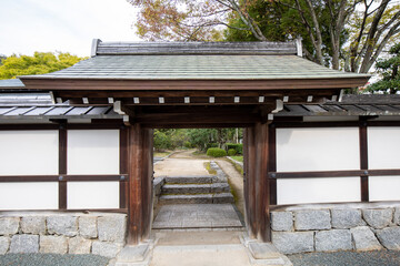 Fototapeta premium 愛媛県の松山城