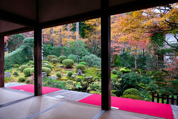 【京都】三千院の紅葉（秋）