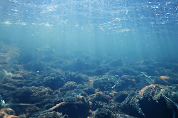 Fototapeta na wymiar sun rays under water blue ocean background, abstract sun light in water wallpaper