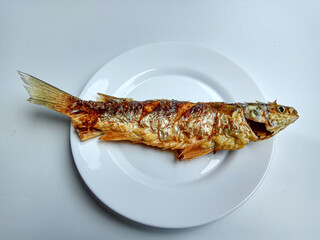 Fried fish, from Moolgarda seheli, or Valamugil seheli, or blue-spot mullet, or blue-tail mullet. Called belanak fish in Indonesia.