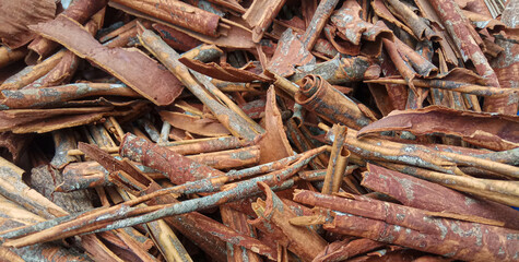 Cinnamomum cassia. Heap of dried and crushed cinnamon sticks, with left-over outer bark, or unfinished shaving.