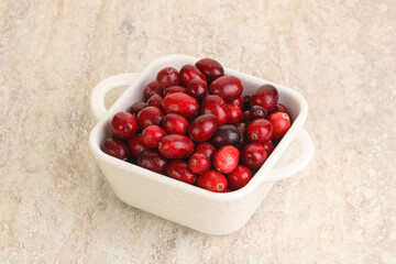 Ripe sweet tasty cranberry in the bowl
