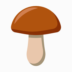 Edible mushroom vector illustration isolated on white background.