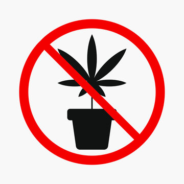 No Growing Weed Sign. Marijuana Cultivation Prohibited Vector Icon Isolated On White Background