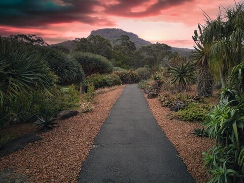 Desert Road to the Mountain