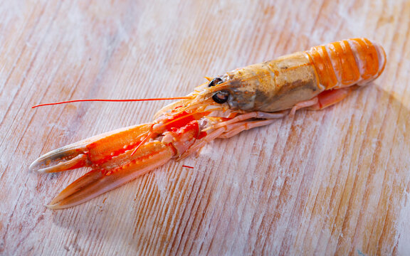 Raw langust ready for cooking. High quality photo