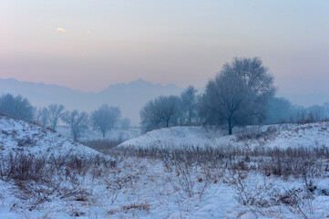 winter landscape with fog