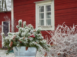 Fototapeta na wymiar New Year's Christmas bouquet on the background of a red wooden old house.