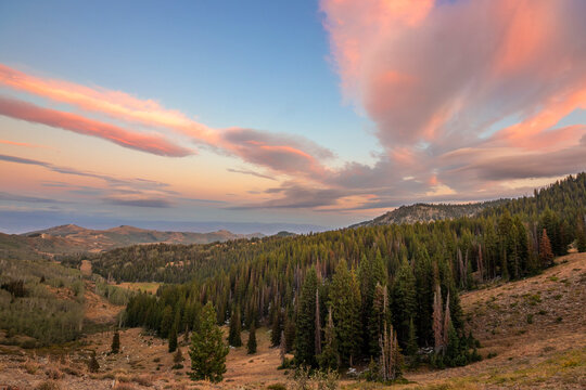 Sunset over Guardsman's pass in the Wasatch mountains of Utah, with pine trees and pink clouds.