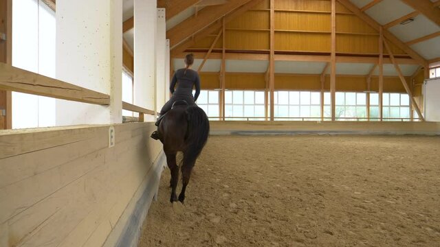 SLOW MOTION, CLOSE UP: Experienced female rider practices trotting with her stunning gelding during indoor flatwork practice. Young woman horseback riding indoors warms up her dark brown stallion.
