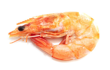 Red shrimp isolated on a white background.