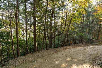 天台宗別格本山 書寫山圓教寺 