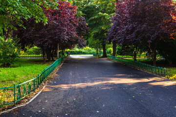 Empty alley in Cismigiu park in Bucharest, capital city of Romania