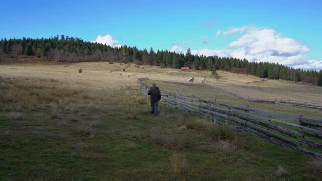 Mountaineer goes next to a wooden fence sheepfold for sheep - (4K)