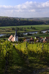 Naklejka premium Landschaft und Weinberge bei Stammheim am Main, Landkreis Schweinfurt, Unterfranken, Franken, Bayern, Deutschland