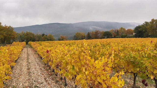 Frankreich bei der Ardeche