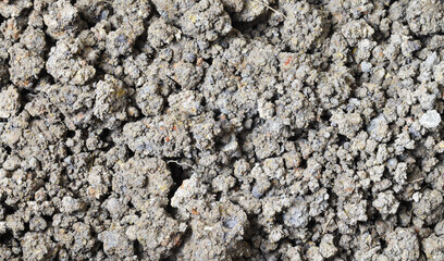 stone wall texture