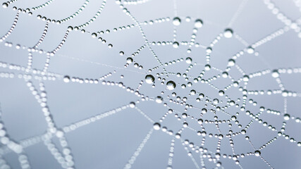 Cobweb or spiderweb natural rain pattern background close-up.Blur view lines, spider web necklace.Cobweb net texture with morning rain bokeh.Macrophotography of rain