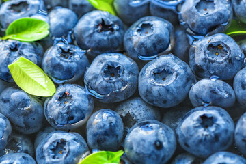Water drops on ripe sweet blueberry. Fresh blueberries background with copy space for your text. Vegan and vegetarian concept. Macro texture of blueberry berries.Texture blueberry berries close up