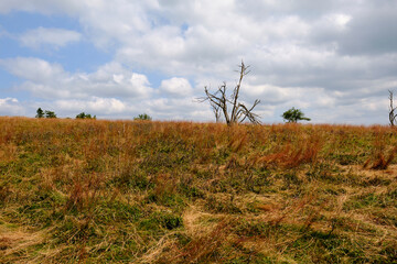 Die Wasserkuppe, der höchste Berg der Rhön im Herbst, Biosphärenreservat Rhön, Hessen,...