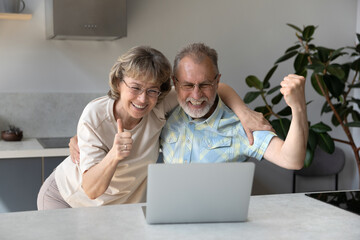 Excited mature couple receiving good awesome news at laptop, talking on video call, showing thumb...