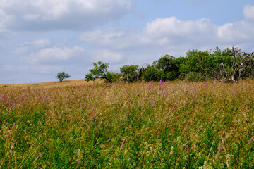 Die Wasserkuppe, der höchste Berg der Rhön im Herbst, Biosphärenreservat Rhön, Hessen,...