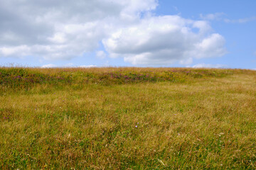 Obraz premium Die Wasserkuppe, der höchste Berg der Rhön im Herbst, Biosphärenreservat Rhön, Hessen, Deutschland