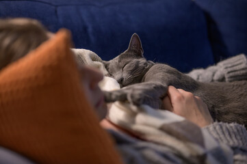 Kot śpiący na kobiecie. Kot śpiący na ludzkiej mamie. Kot z mamusią. Miłość kota do człowieka. - obrazy, fototapety, plakaty