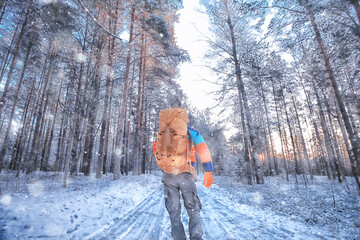 man traveler with a backpack in the forest, winter view in the american forest, north america...