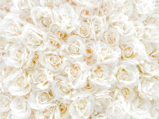 白い花いっぱい　背景素材