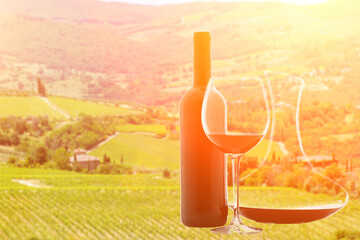 wine plantation,decanter,glass of wine and a bottle against the background of vineyards in the sunlight