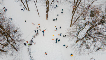 happy kids sliding by snowed hill