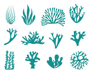 Fototapeta na wymiar Isolated icons set silhouettes of seaweed and corals