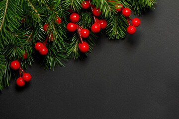 Christmas fir branches and berries