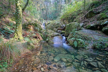 Small river with clear water in the forest, Spain, Galicia, Rio De La Fraga, Pontevedra province