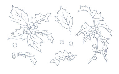 Collection of winter holly berry branches and leaves isolated. Winter holiday decor elements. Line art hand drawn vector illustration. For cards, packaging, patterns, invitations.