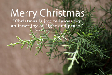 Christmas inspirational quote - Christmas is joy, religious, you, and inner joy of light and peace....