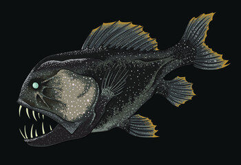 Drawing common fangtooth, deep seafish, art.illustration, vector