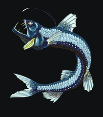 Drawing sloone viperfish, deep seafish, art.illustration, vector