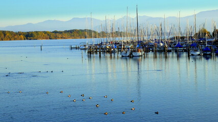 viele Segelboote liegen am Hafen im ruhigen Chiemsee mit vielen Wasservögeln vor herrlicher...