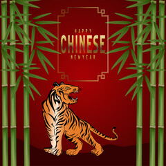 chinese new year, year of the tiger.