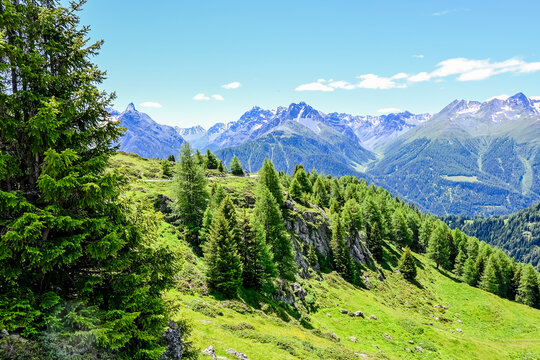 Ftan, Alpe Laret, Wanderweg, Unterengadin, via Engiadina, Alpen, Engadin, Innschlucht, Inn, Fluss, Graub&uuml;nden, Sommer, Schweiz