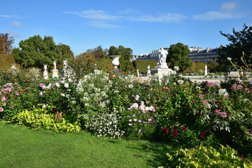 Jardin des Tuileries en fleurs en été à Paris, France
