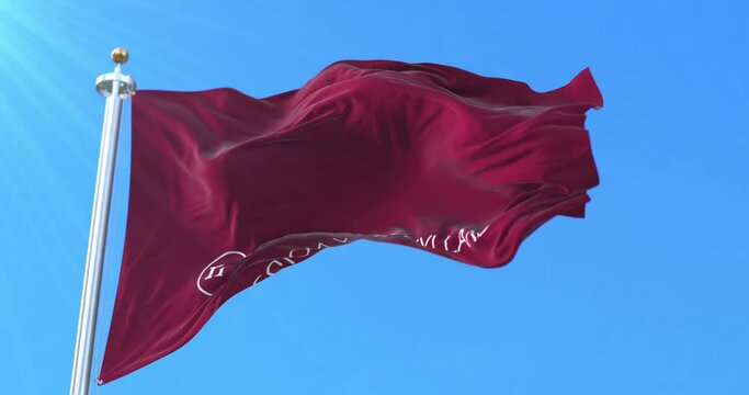 Flag of North Jutland Region, Denmark. Loop