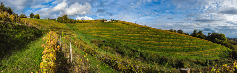 Fototapeta na wymiar Allassac (Corrèze, France) - La Chartroulle - Vue panoramique automnale des vignobles des coteaux de la Vzère