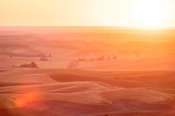 Naklejka premium Green rolling hills of farmland wheat fields seen from the Palouse washington
