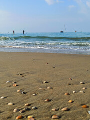 footprints on the beach