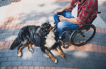 Happy young man with a physical disability in a wheelchair with his dog.