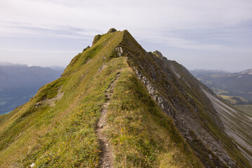 Naklejka premium Amazing hiking day in the alps of Switzerland. Wonderful view over a beautiful lake called Brienzersee. What an amazing view.